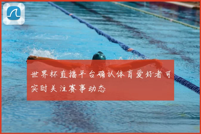 世界杯直播平台确认体育爱好者可实时关注赛事动态