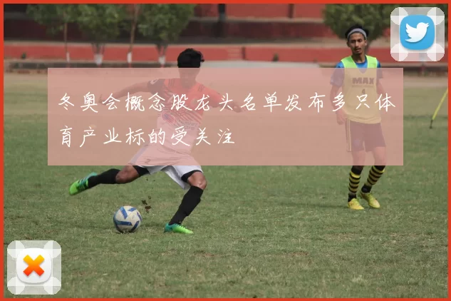 冬奥会概念股龙头名单发布多只体育产业标的受关注