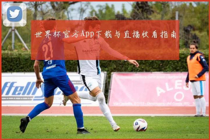 世界杯官方App下载与直播收看指南