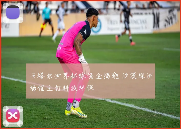 卡塔尔世界杯球场全揭晓 沙漠绿洲场馆主打科技环保