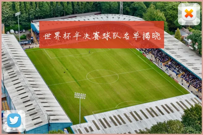 世界杯半决赛球队名单揭晓