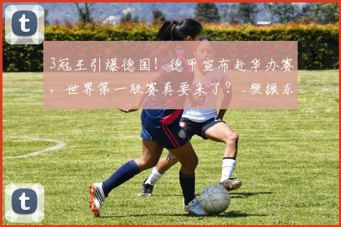 3冠王引爆德国!德甲宣布赴华办赛,世界第一联赛真要来了?_樊振东_乒乓球_中国