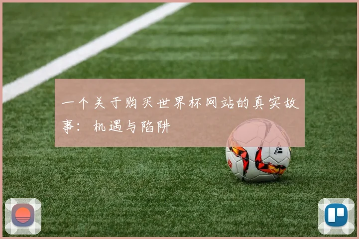 一个关于购买世界杯网站的真实故事:机遇与陷阱
