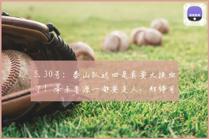 5.30号：泰山队这回是真要大换血了！泽卡李源一都要走人，郑铮可能退役，平均年龄直线往下掉_外援_于文旅_球员